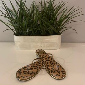 Dolce Vita Leopard flip flops